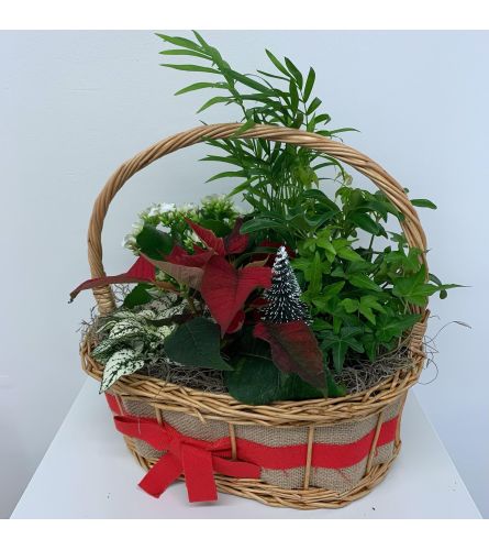 Jute Holiday Planter Garden. An arrangement by Anderson Flowers.