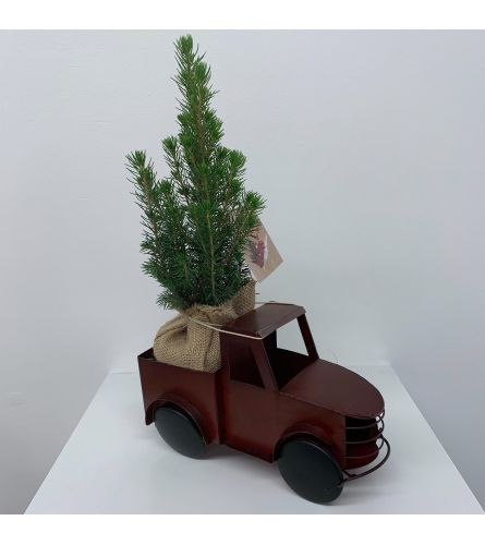 Pickup Truck Christmas Tree - Medium