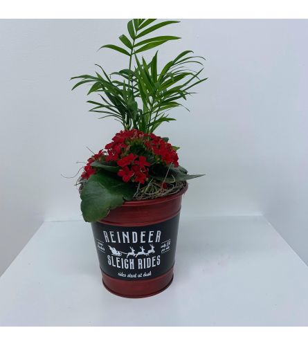 Vintage Christmas Planter - Red/Small