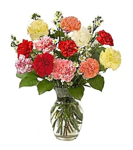 Assorted Carnations in a Vase