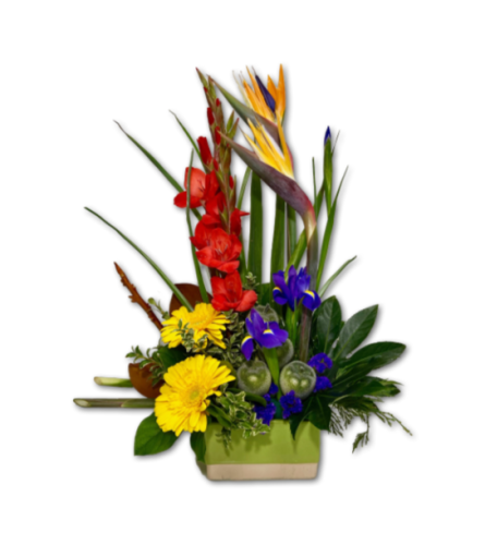 Bold & Beautiful Colourful Arrangement