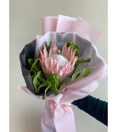 King Epic Protea. An arrangement by Lux Flower Box.