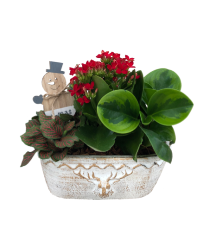 Small Oval Deer Christmas Planter