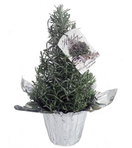 Christmas Lavender Tree