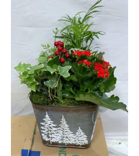 Snowy Pines - Square Planter