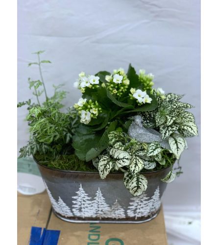 Snowy Pine - Oblong European Planter