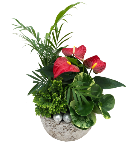 Christmas Stone Bowl with Christmas balls. An arrangement by Flowers By Gerry.