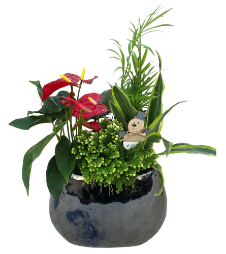 Glossy Anthurium and Frosty Fern Planter, Pewter