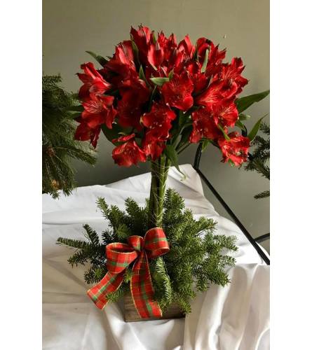 Christmas Alstro topiary. An arrangement by Flowers in Bloom.