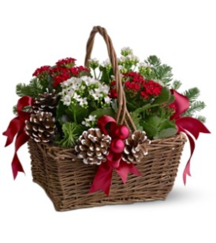 Christmas Garden Basket. An arrangement by Belak Flowers.