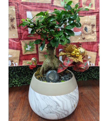 Holiday Bonsai Tree