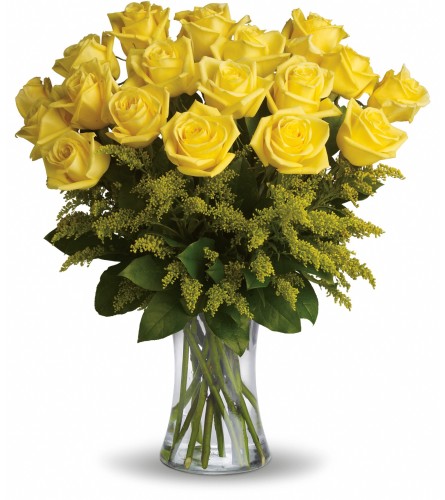 Friendly Yellow Roses