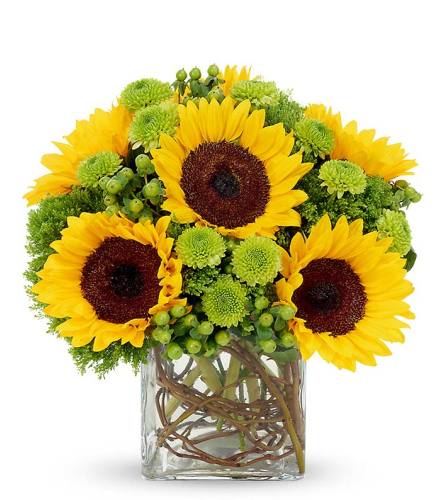 Sunflower Surprise Bouquet