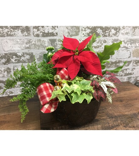 Christmas Basket Garden