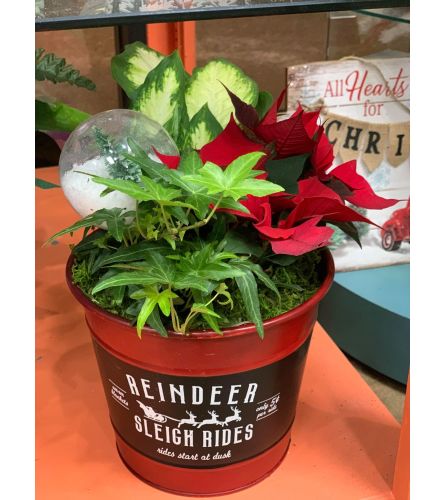 Vintage Christmas Planter - Medium/Red