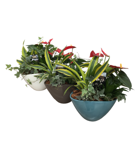 Small Planter. An arrangement by Owen Sound Flowers.