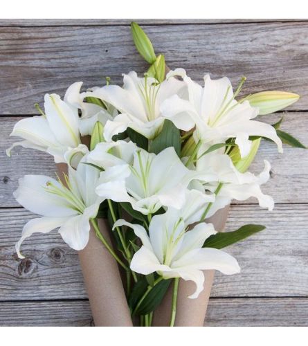 LILIES WRAPPED