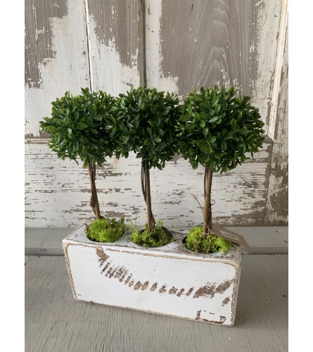 Sugar Orchard Topiaries. An arrangement by Metcalfe Florist and Pleasant View Greenhouses.