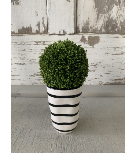 Moss Ball Vase