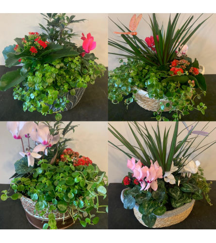 Planter 2022. An arrangement by Northwest Florist.