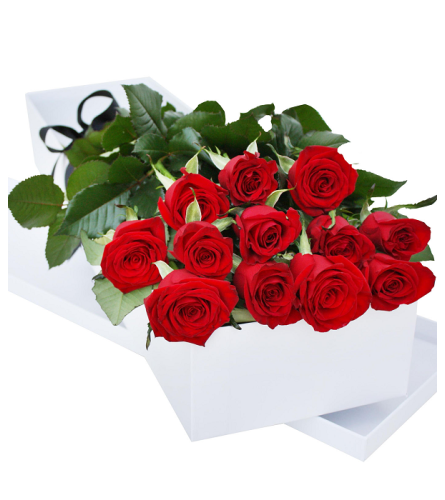 Dozen Red Roses Boxed