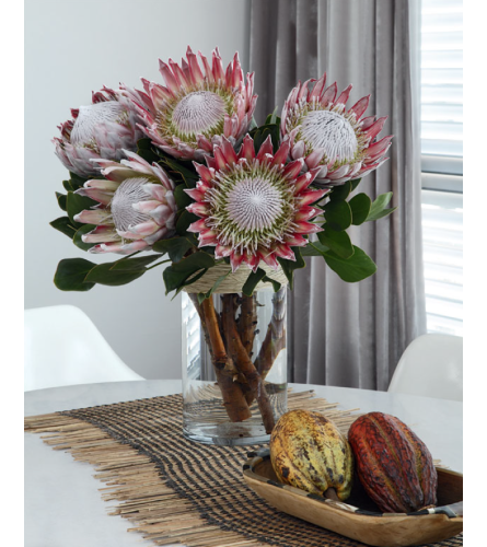 Pink King Proteas