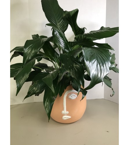 Face Planter with Peace Lily