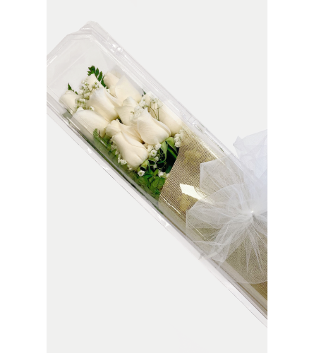 White Boxed Roses