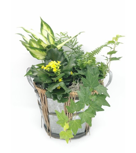 Large Rustic Planter. An arrangement by The Garden Gate Gifts and Florals.