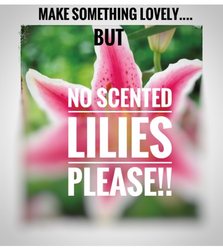 No Lilies Please!