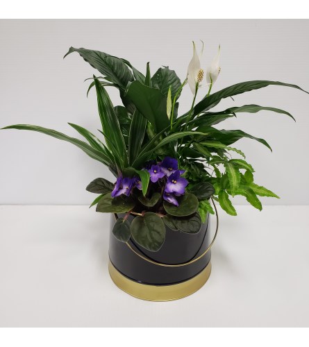 Black and gold planter. An arrangement by Prestige Floral.