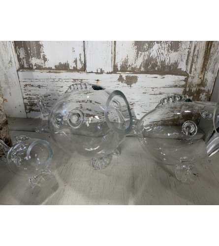 Glass Fish Bowls