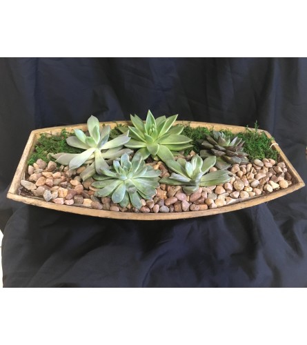 Succulent Boat Tray. An arrangement by Flowers by Anna.