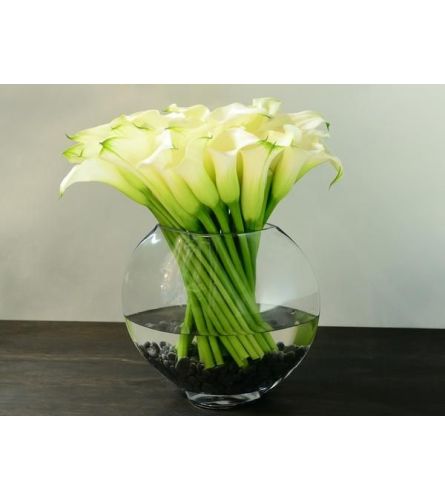 White Calla Simplicity