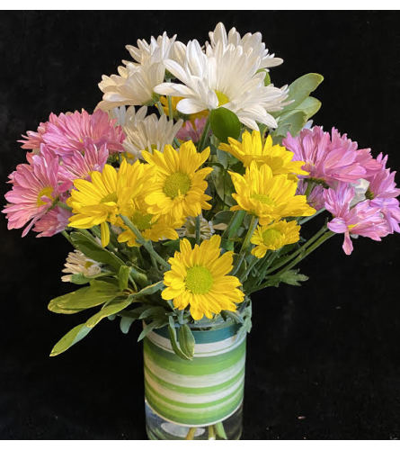 Sweet & Colorful daisies!