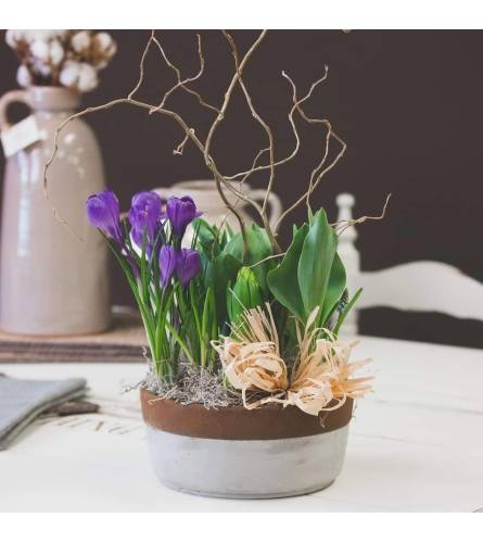 Indoor Garden Planter