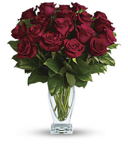 Teleflora's Classique Love Dozen Red Rose