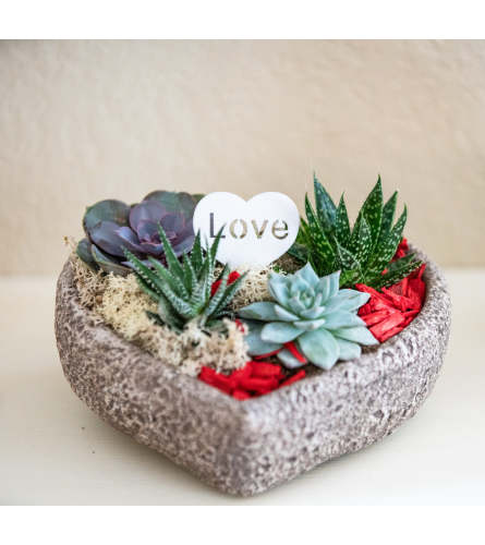 Just a Succa for You. An arrangement by In Bloom.