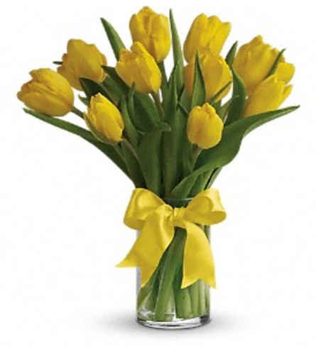 Teleflora's Sunny Yellow Tulips