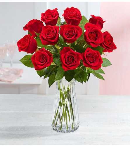 One Dozen of Red Roses