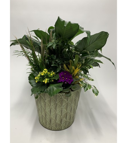 Planters dream. An arrangement by DMP Flowers and Gifts.