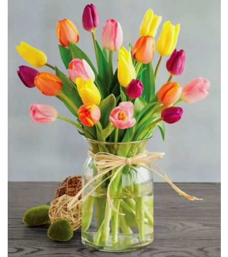 The Simple Beauty of Tulips
