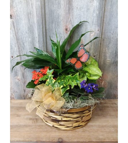 FM - Euro Plant Basket