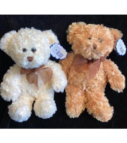 Plush Teddi Bear 3 sizes. An arrangement by Flowerville.
