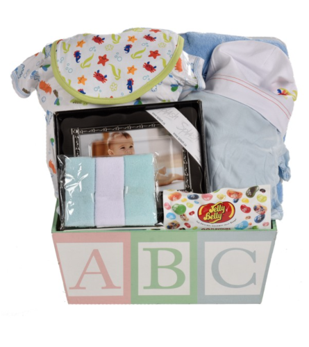 Baby Boy Gift Basket