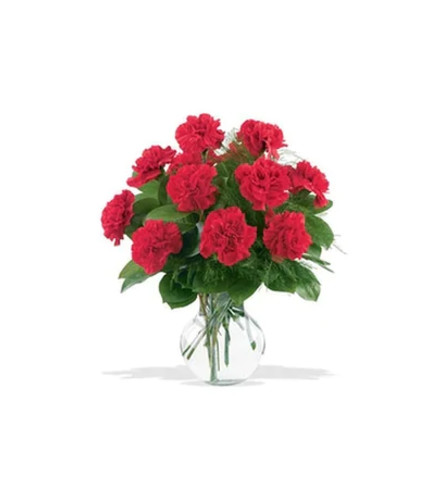 12 Red Carnations Arranged in a Vase