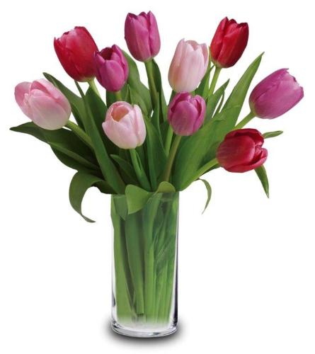 10 Tulips Arranged, Assorted Colored (Colors May Vary)