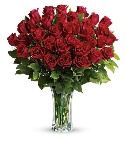 Three Dozen Beautiful Red Roses Arranged