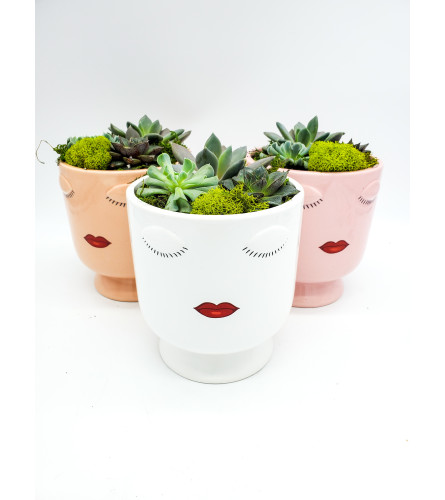 Diva Planter