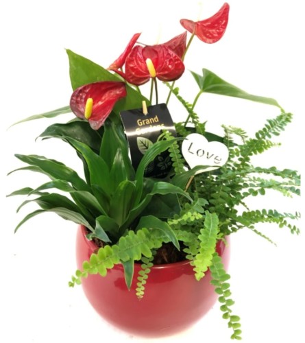 Love my Tropicals. An arrangement by Harriet's Flower and Gift Shop.